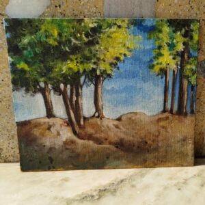 Sunlit Forest Path - SP2917